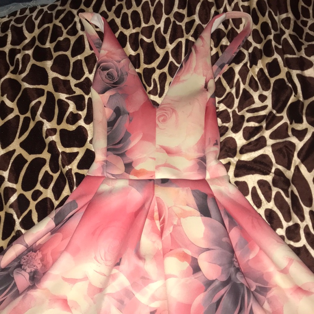 Charlotte Russe Skater Dress